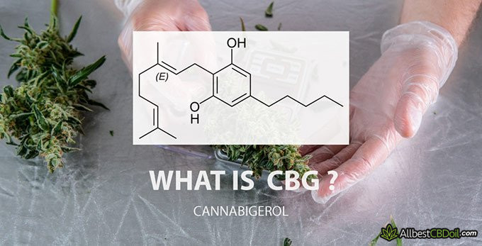 What is CBG: CBG chemical formula